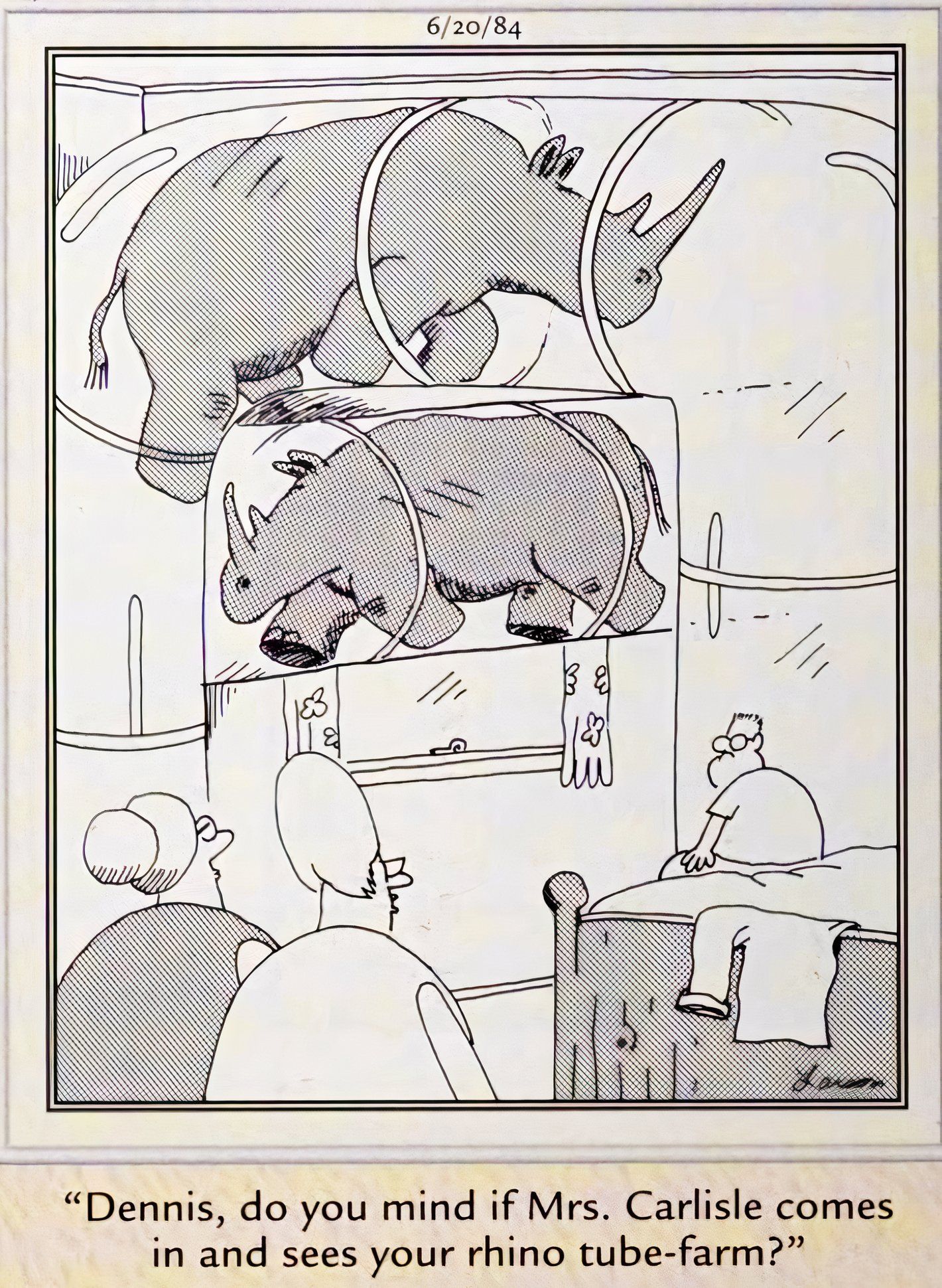 Far Side, June 20, 1984, a mother asks her son to show their guests his 'rhino tube farm'