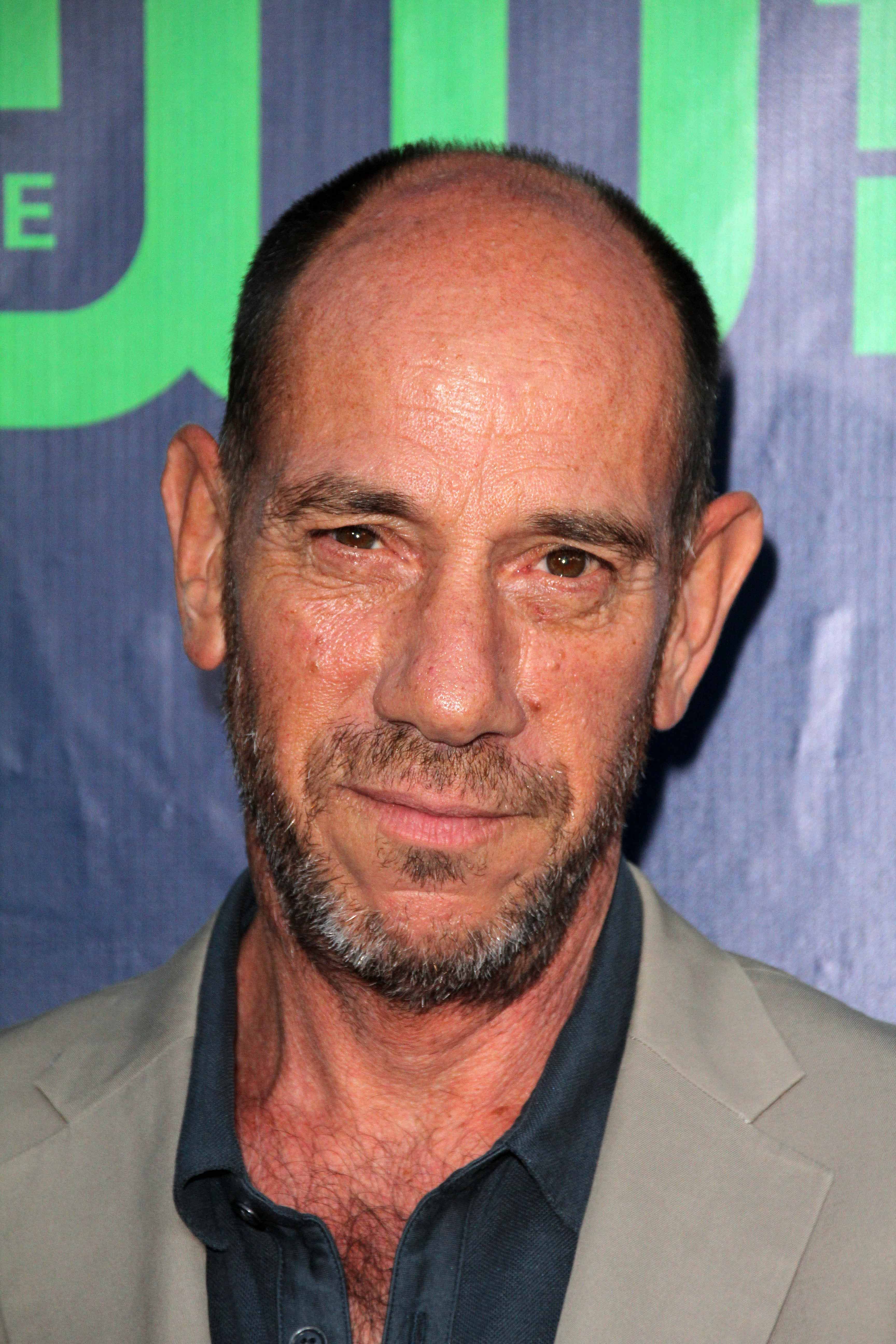 Miguel Ferrer | ScreenRant