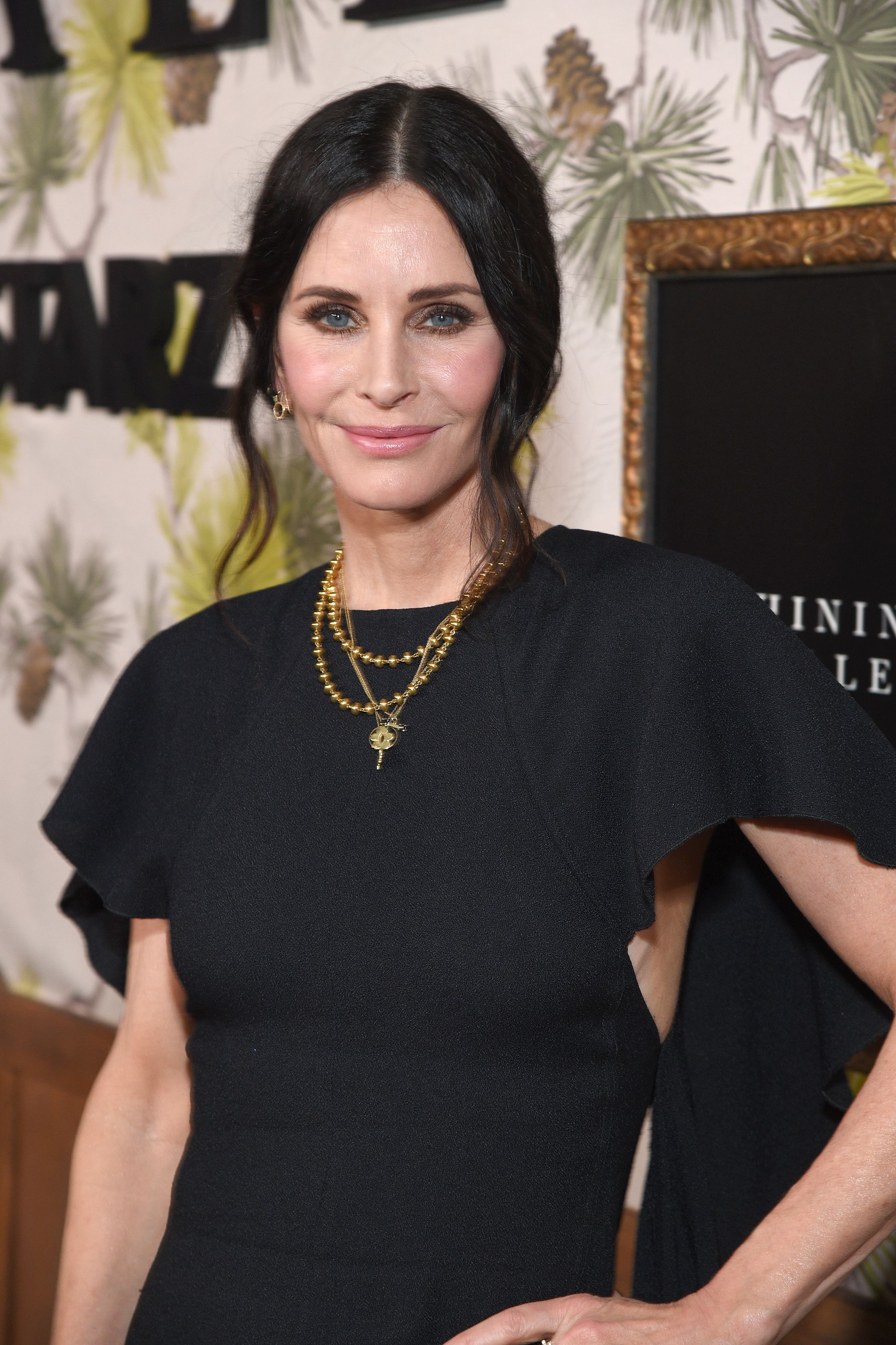 Headshot Of Courteney Cox In The Los Angeles Premiere Of Warner Bros. Television's 'Shining Vale'