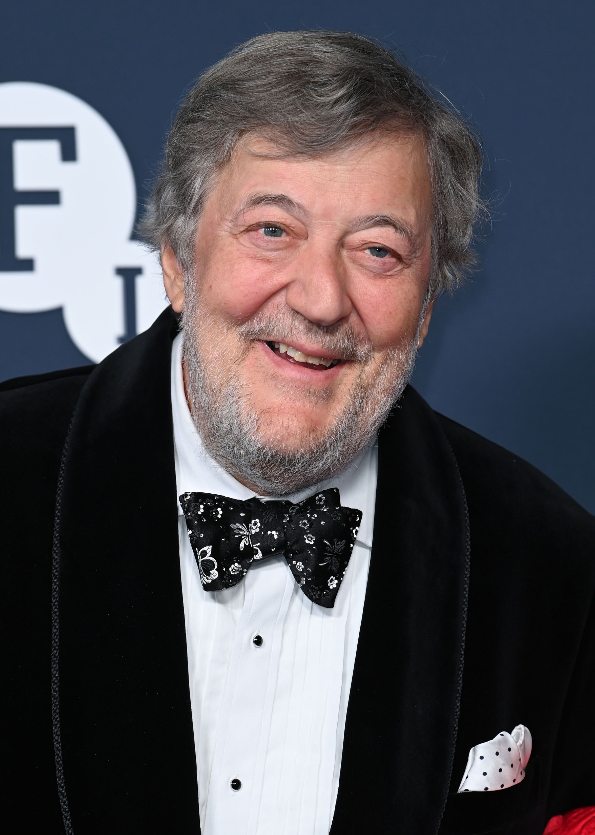 Stephen Fry | ScreenRant