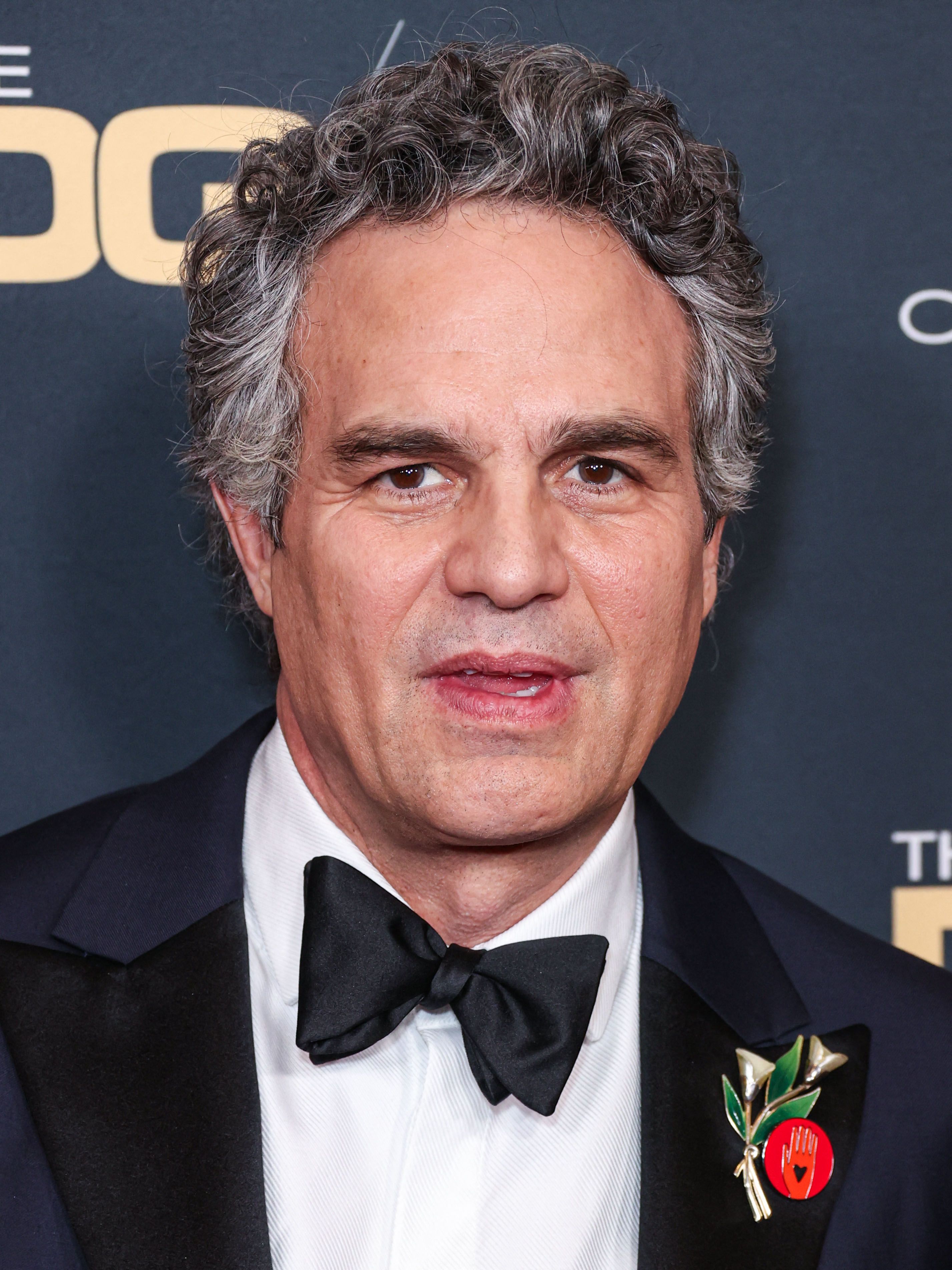 HeadsH๏τ Of Mark Ruffalo In The 76th Annual DGA Awards