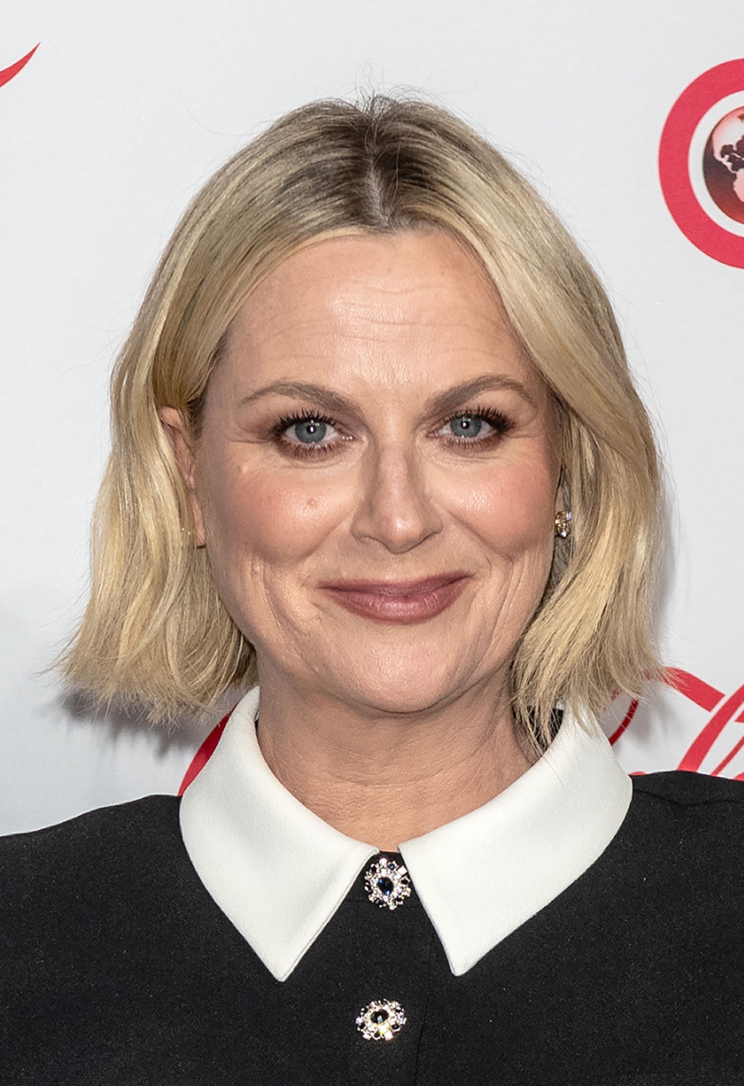 Amy Poehler | ScreenRant