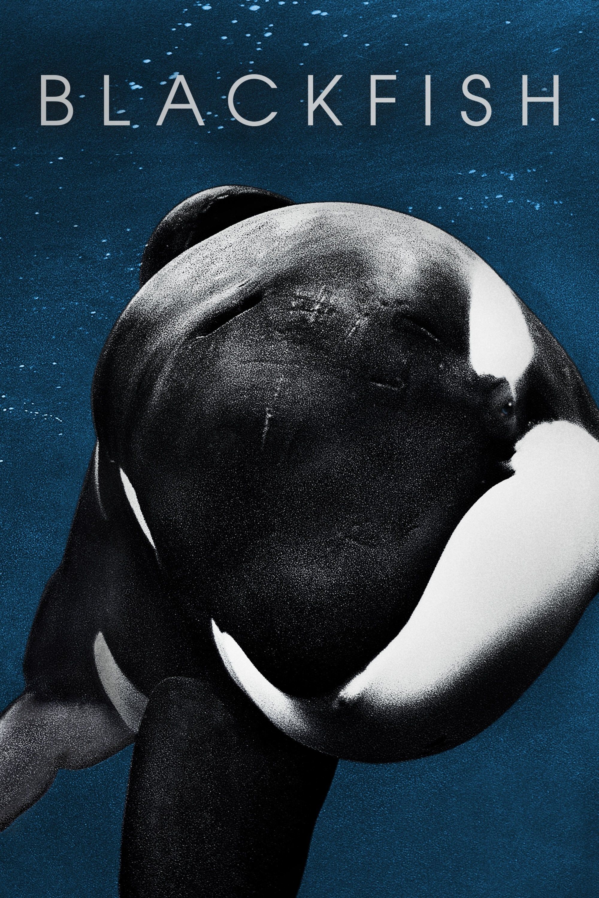 Blackfish Summary, Trailer, Cast, and More