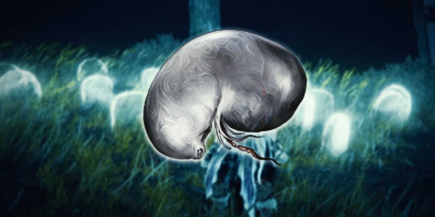 A Larval Tear from Elden Ring with a grave in the background