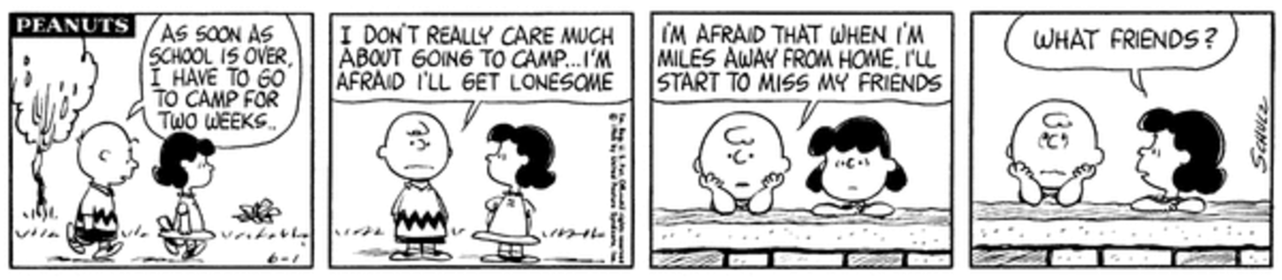 Peanuts Summer Camp, Charlie Brown complaining about going to camp with Lucy.