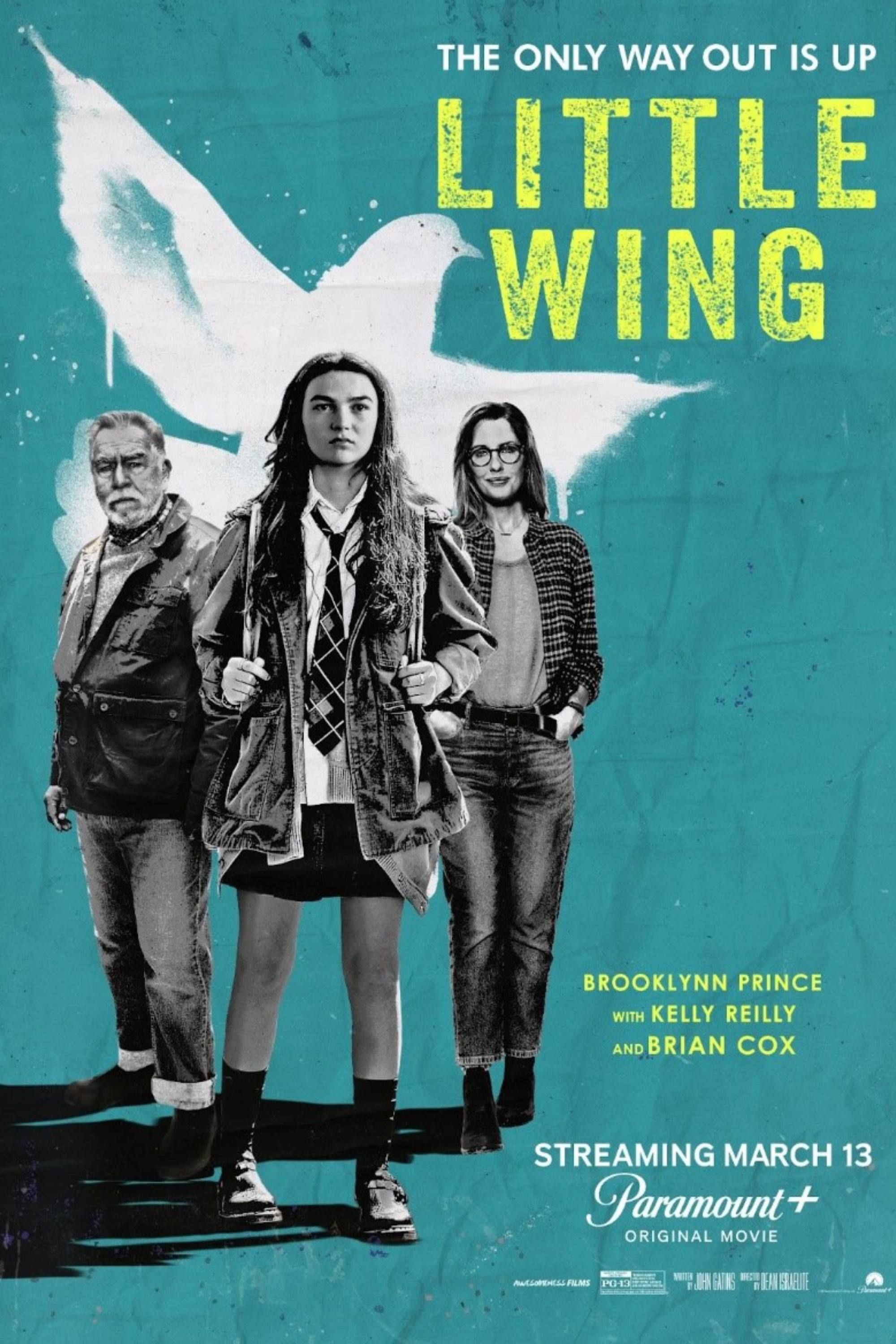 Little Wing (2024) - Pôster