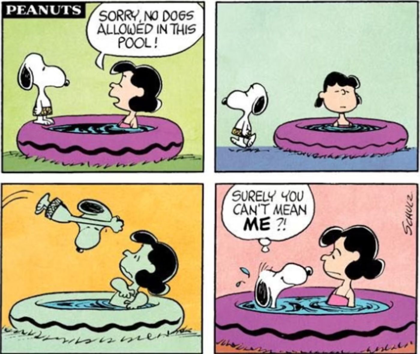 Lucy não quer Snoopy na piscina