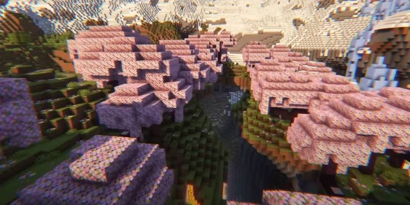 Minecraft Icy Blossom Gorge Seed.