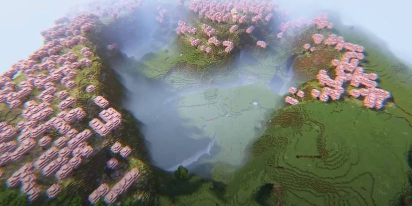 Minecraft Meadow of Love Cherry Blossom Seed.