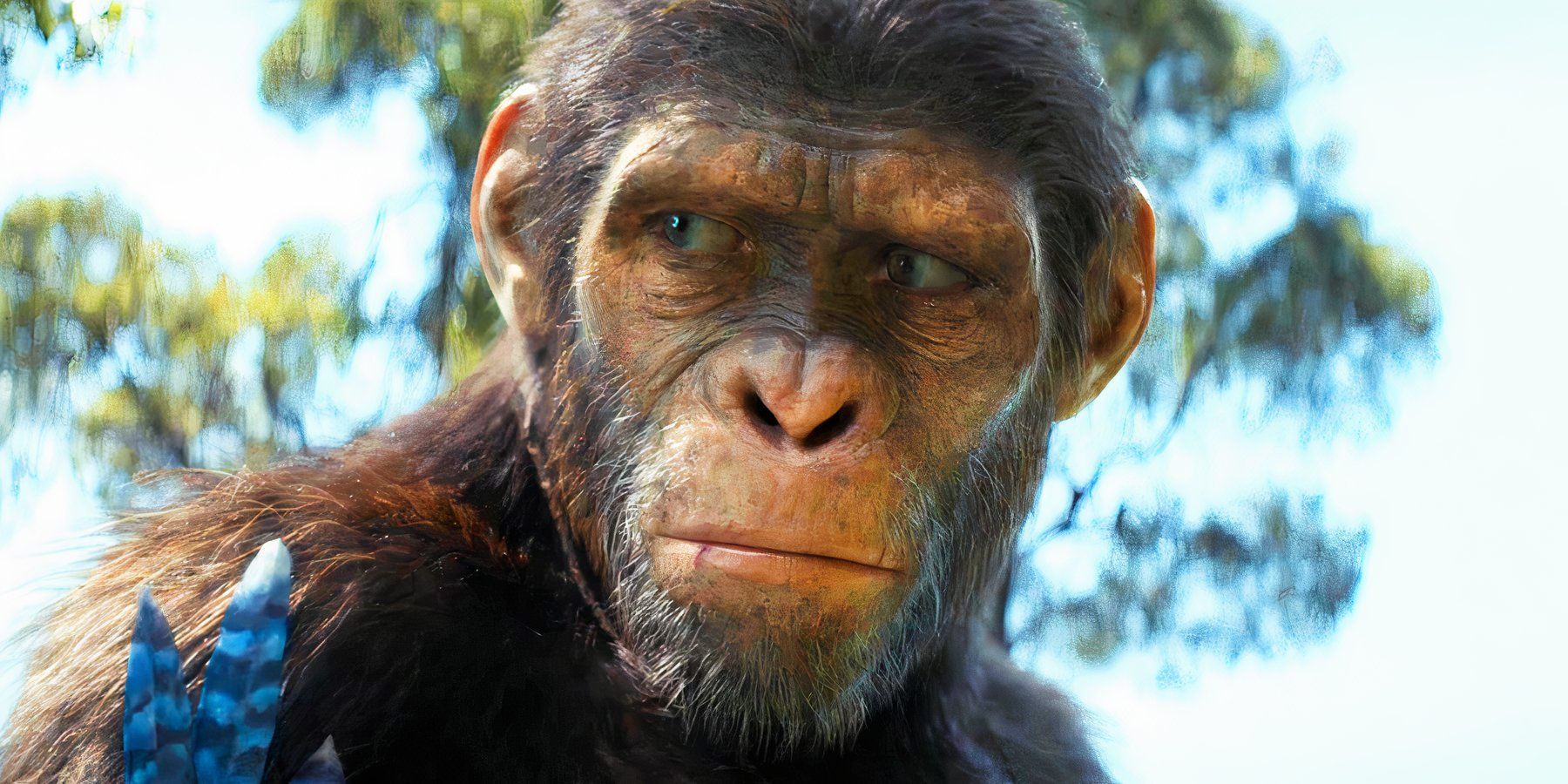 The Single Decision With The Planet Of The Apes Movies That Built A $2.5 Billion Franchise