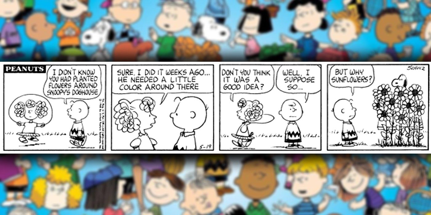 PEANUTS COMIC WHERE SUNFLOWERS ARE PLANTED AROUND SNOOPY'S DOG HOUSE