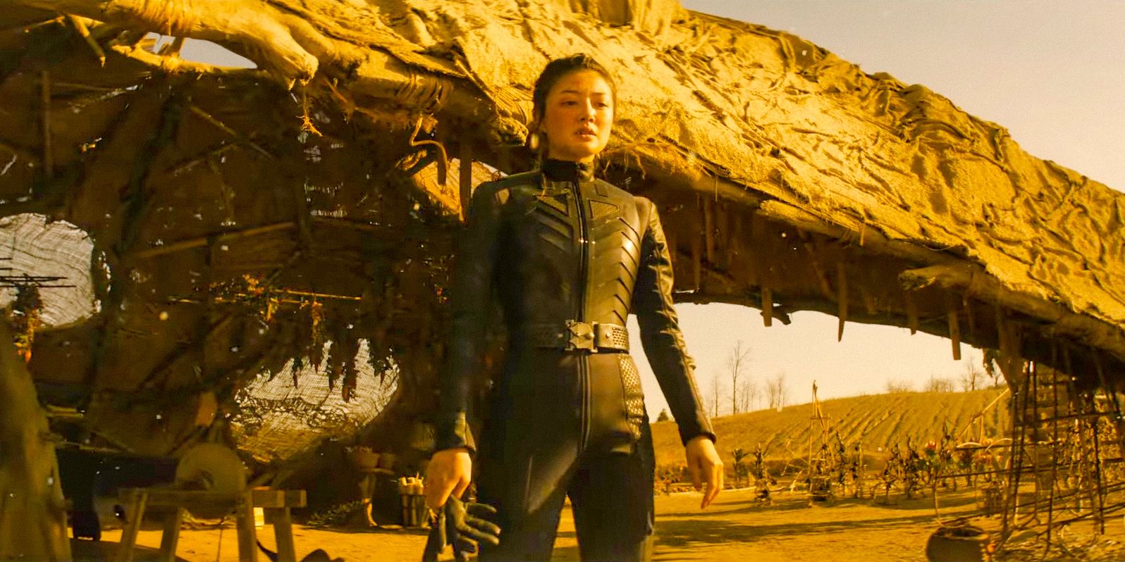 El regreso de Michelle Yeoh en la sección 31 de la película Star Trek contará una historia que llegará a donde la franquicia nunca antes había llegado