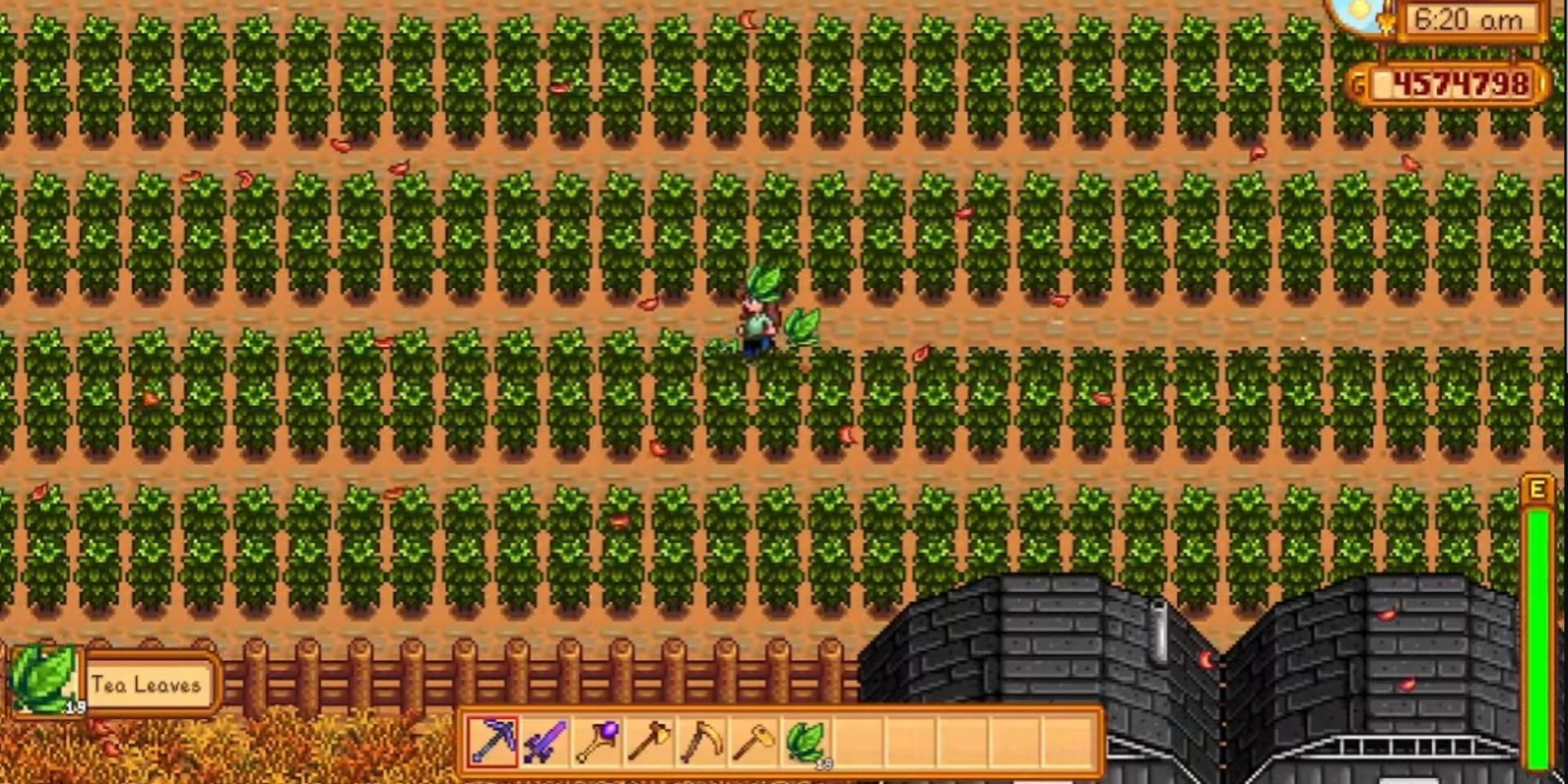 10 Stardew Valley 1.6 Changes Players Wish Had Never Happened