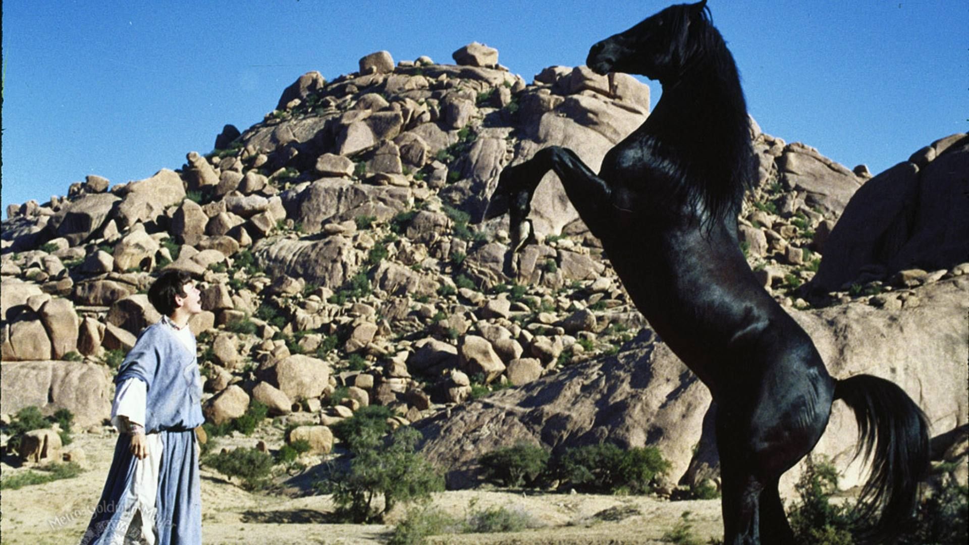 The Black Stallion Returns Trailer