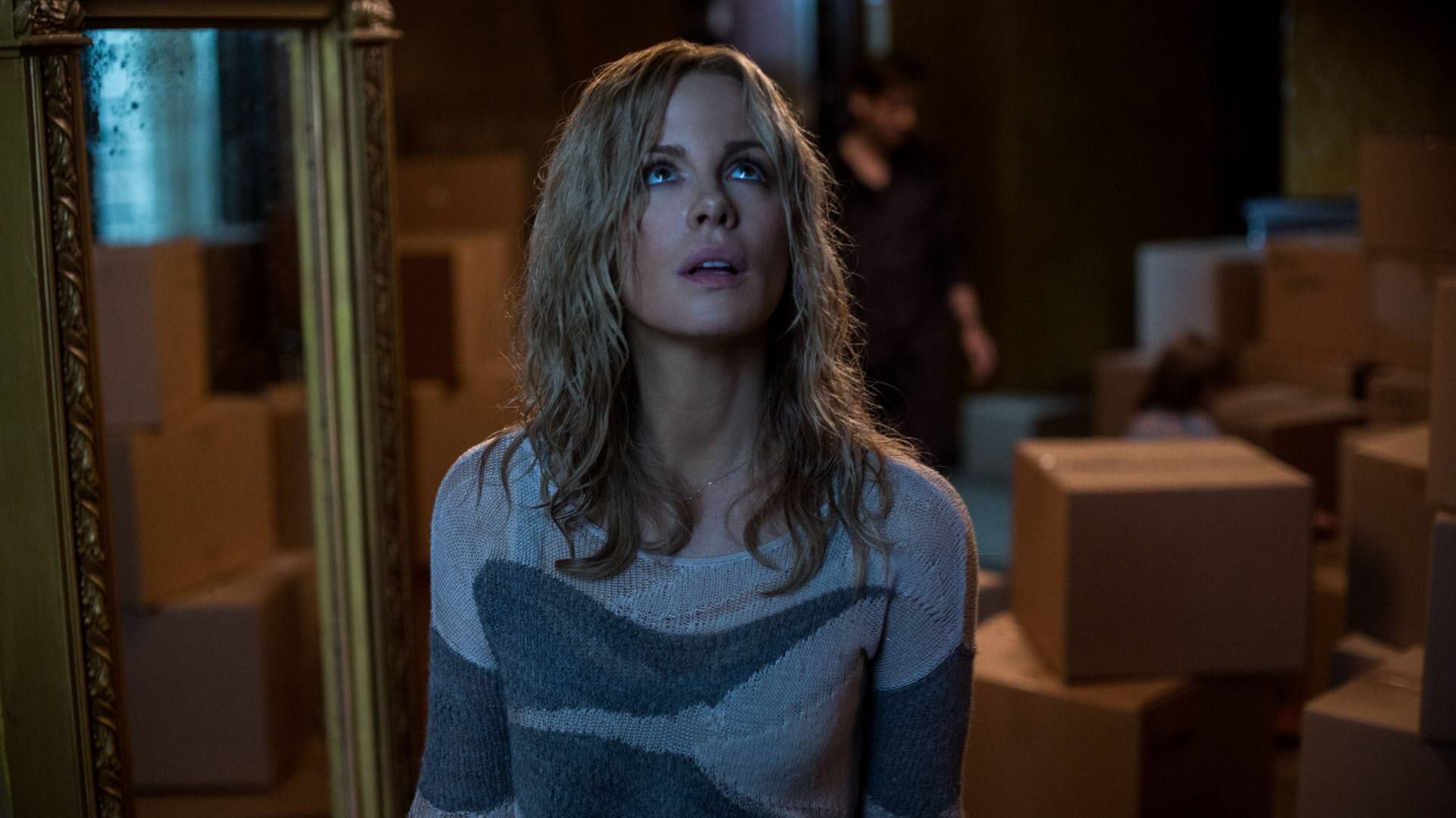 The Disappointments Room (2016) Summary, Trailer, Cast, and More