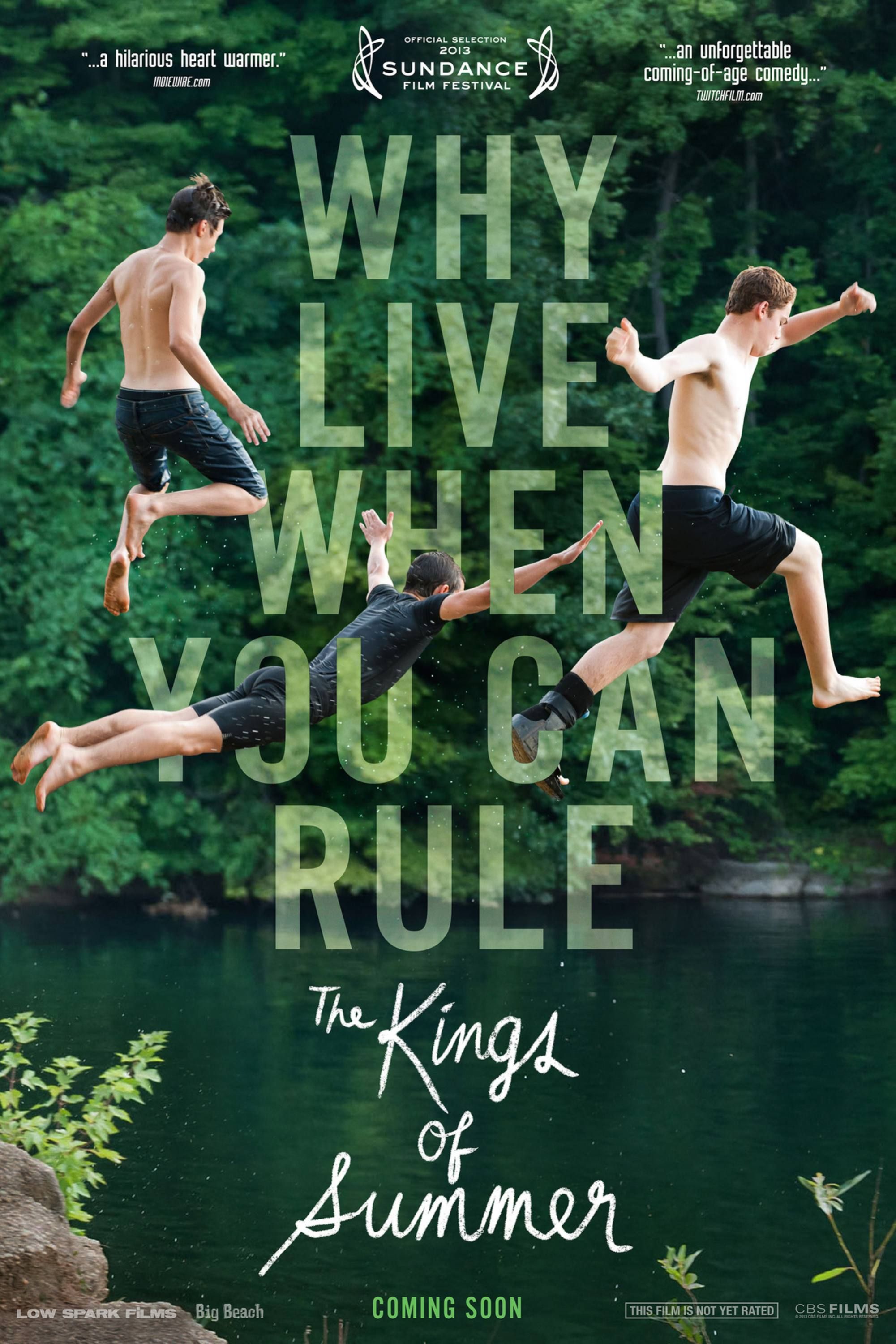 The Kings Of Summer - Poster