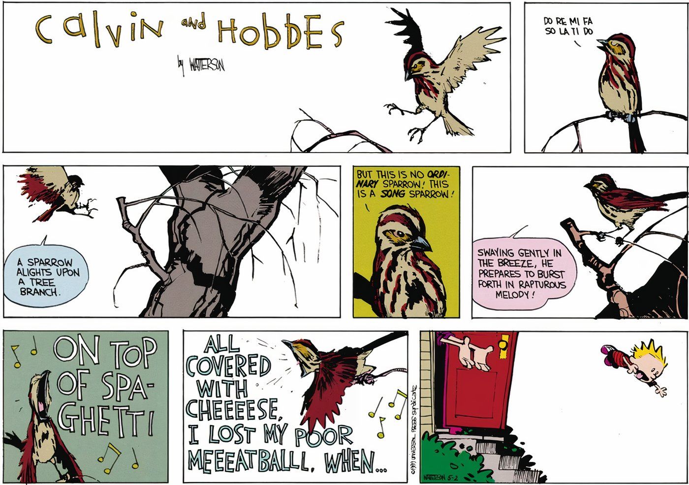 História em quadrinhos de Calvin e Hobbes apresentando um pássaro canoro cantando uma canção desagradável empoleirado em uma árvore.