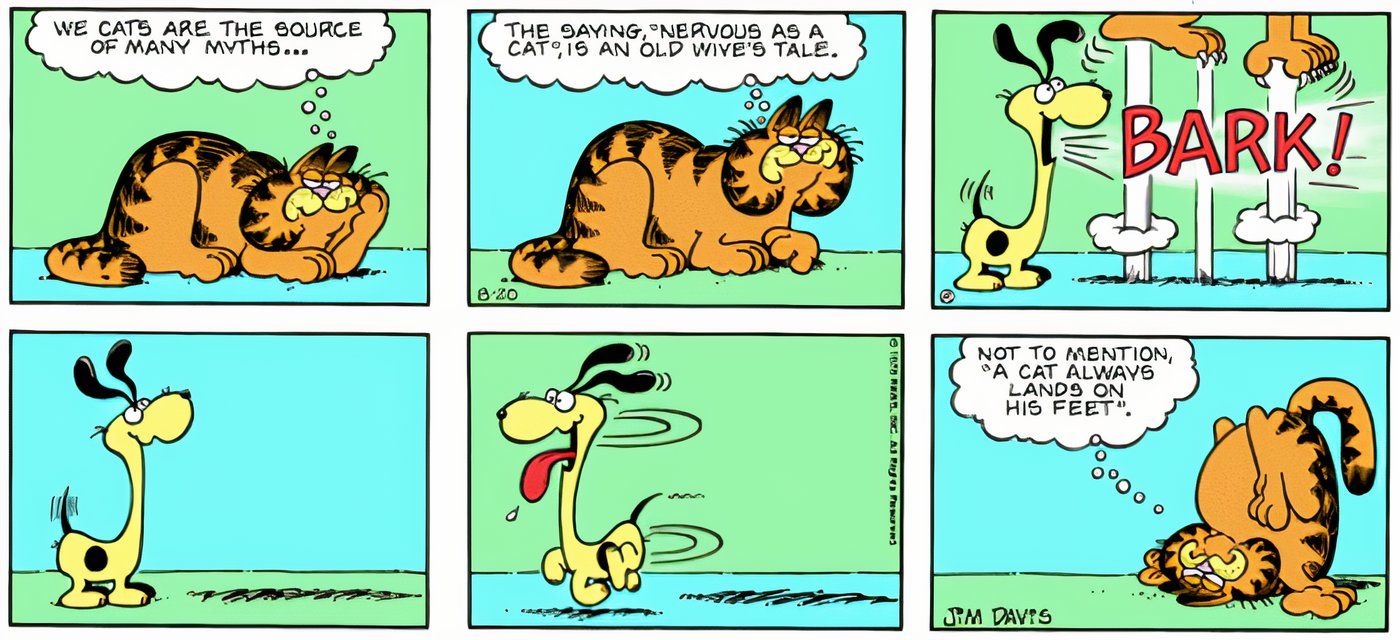 Odie assustando Garfield latindo para ele.