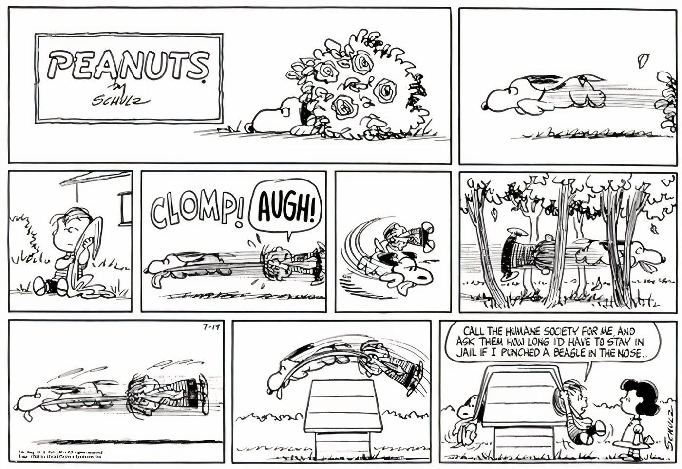 Snoopy correndo pelo quintal, arrastando Linus pelo cobertor atrás dele.