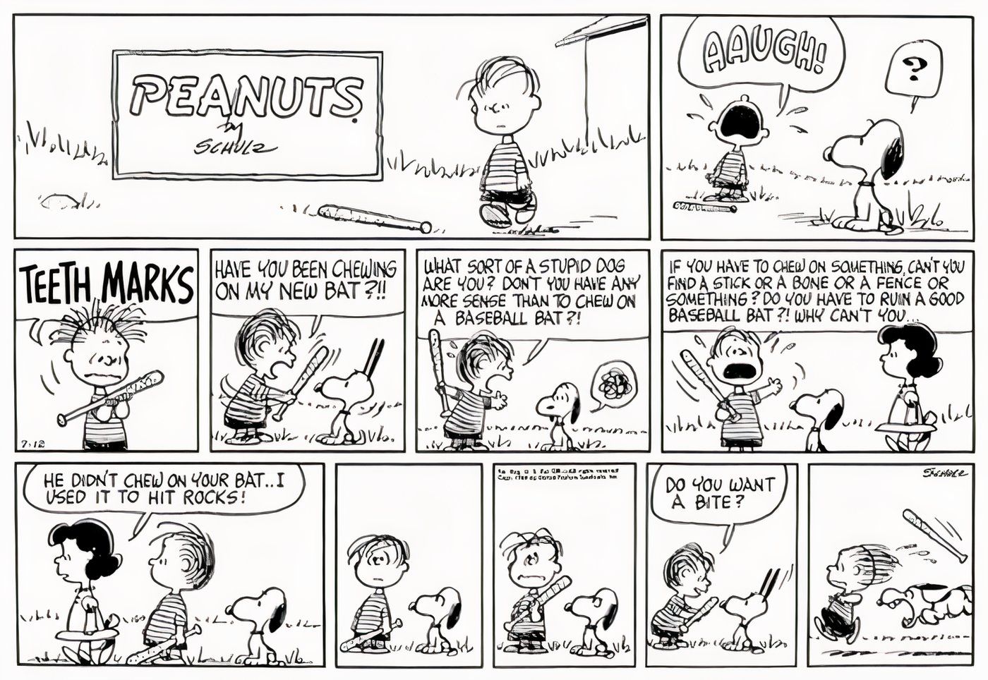 Linus fica bravo com Snoopy por mastigar seu taco, mesmo que Lucy tenha sido a responsável por amassá-lo.