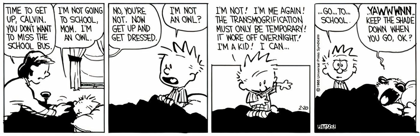 Calvin acorda uma manhã para ir à escola, chocado por não ser uma coruja, enquanto Hobbes dorme profundamente ao lado dele.