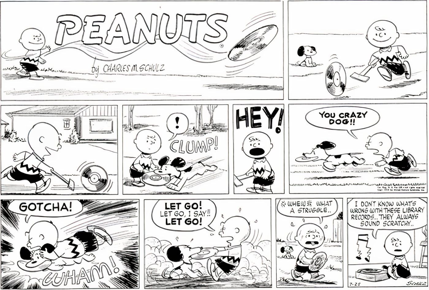 Charlie Brown and Snoopy fighting over a record.