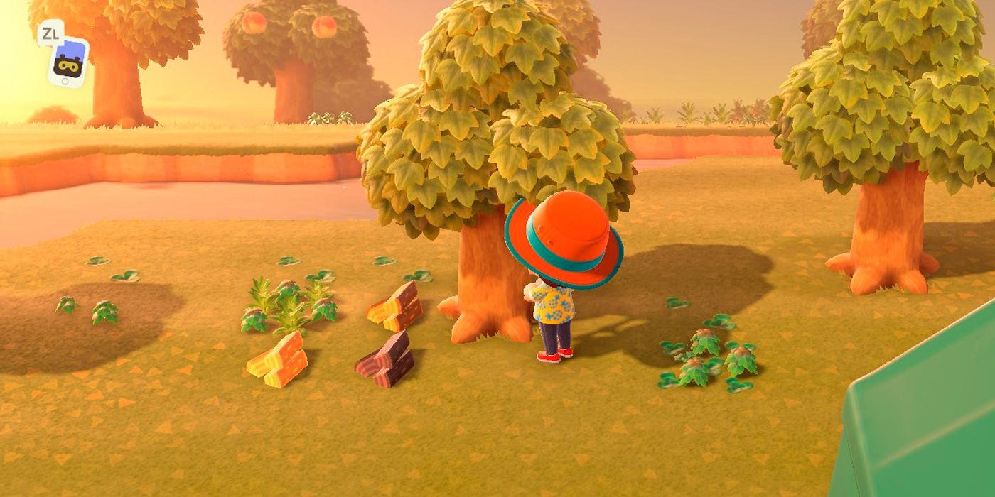 10 Annoying Things The Next Animal Crossing Game Desperately Needs To Fix