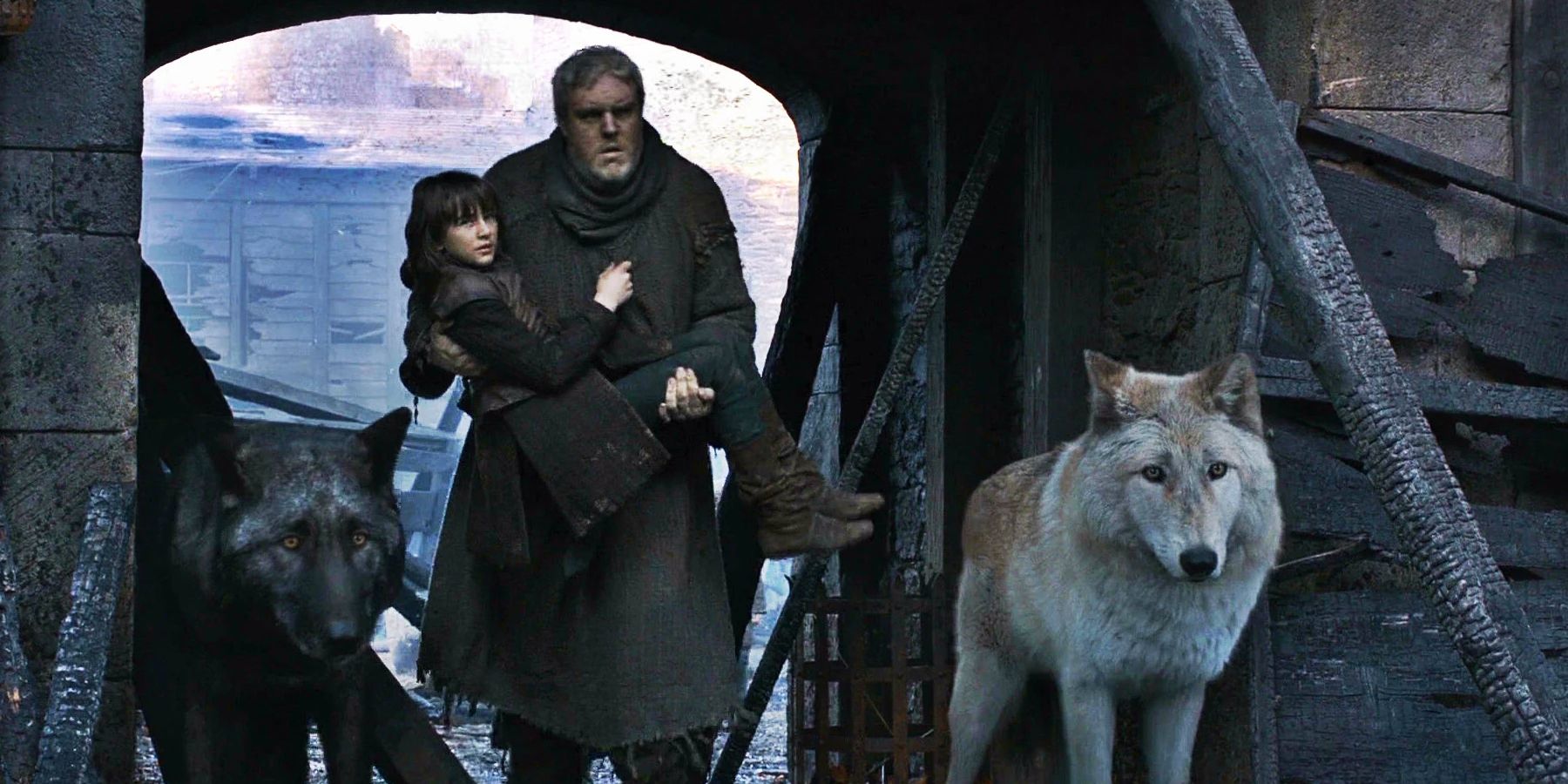 Game Of Thrones Ending: The Fates Of All Stark Direwolves Explained