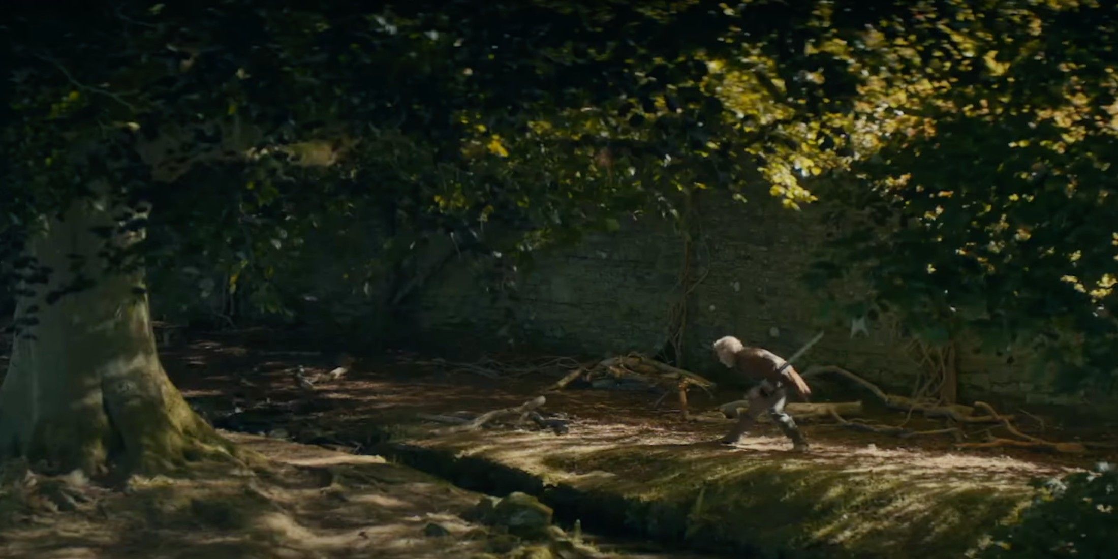 Un hombre practicando esgrima en el bosque, en el programa. 