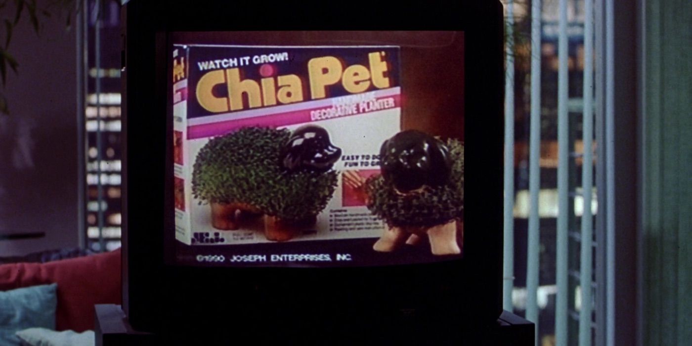 c​​​​​​​hia pets in Wayne's World