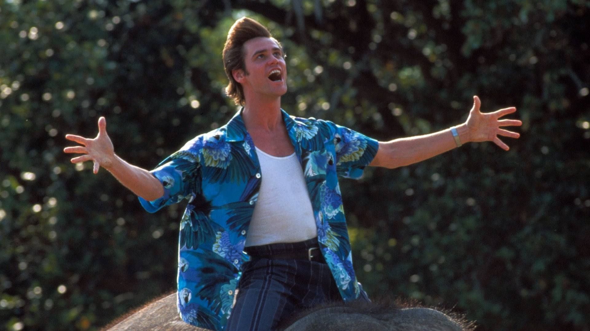 Ace Ventura: When Nature Calls Summary, Latest News, Trailer, Cast - Where Can I Watch Ace Ventura When Nature Calls