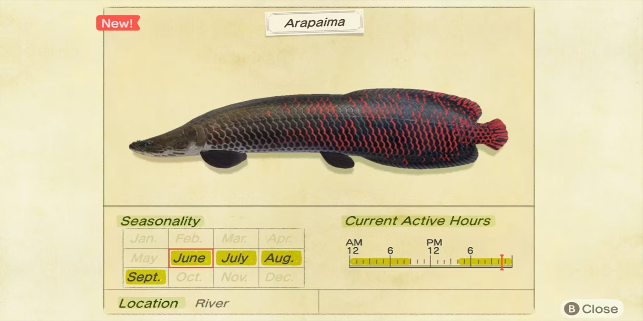 The Biggest Fish You Can Catch In Animal Crossing: New Horizons