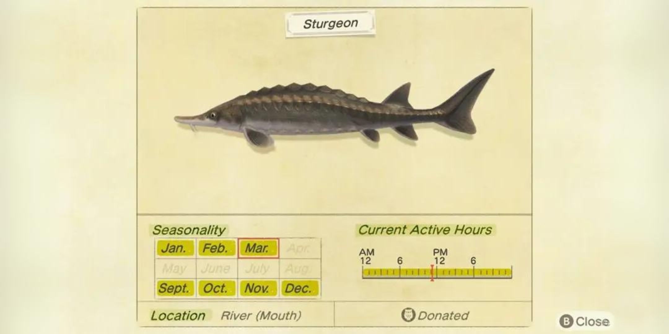 The Biggest Fish You Can Catch In Animal Crossing: New Horizons