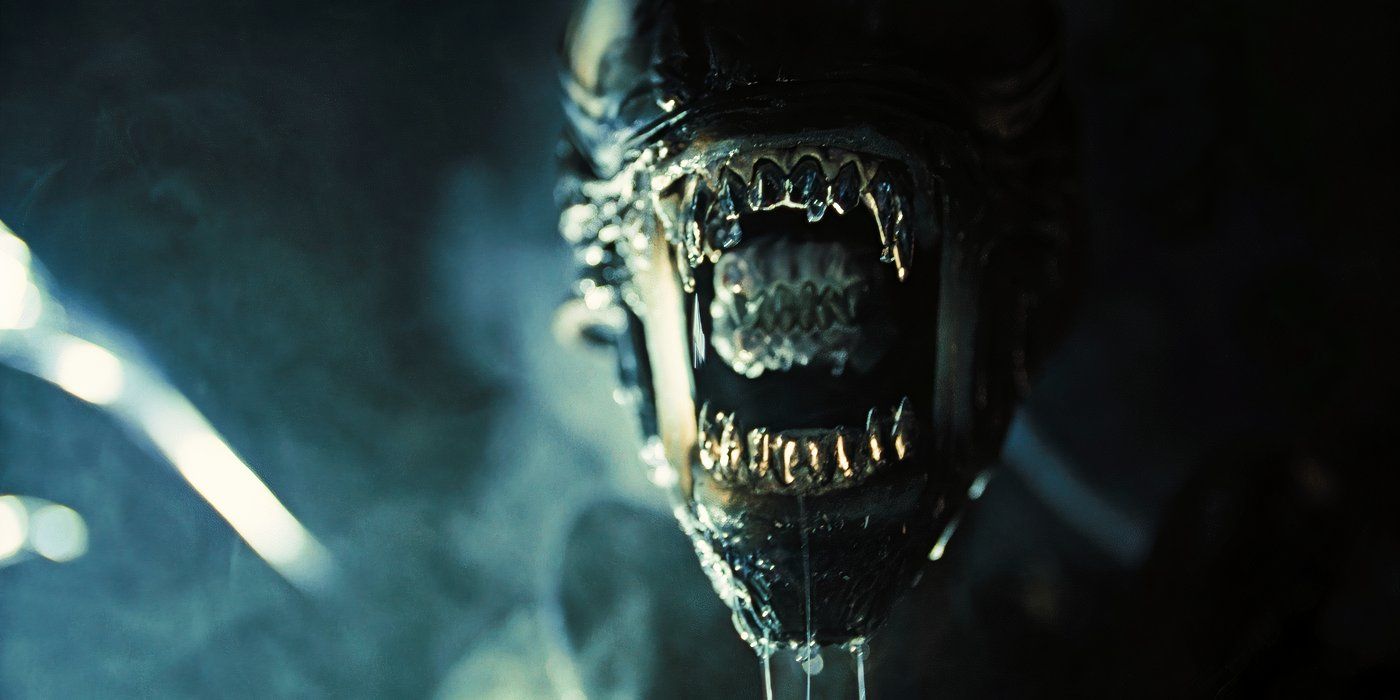 Nahaufnahme des Gesichts des Xenomorphs, der direkt in die Kamera schaut und Schleim auf den Alien-Romulus tropft