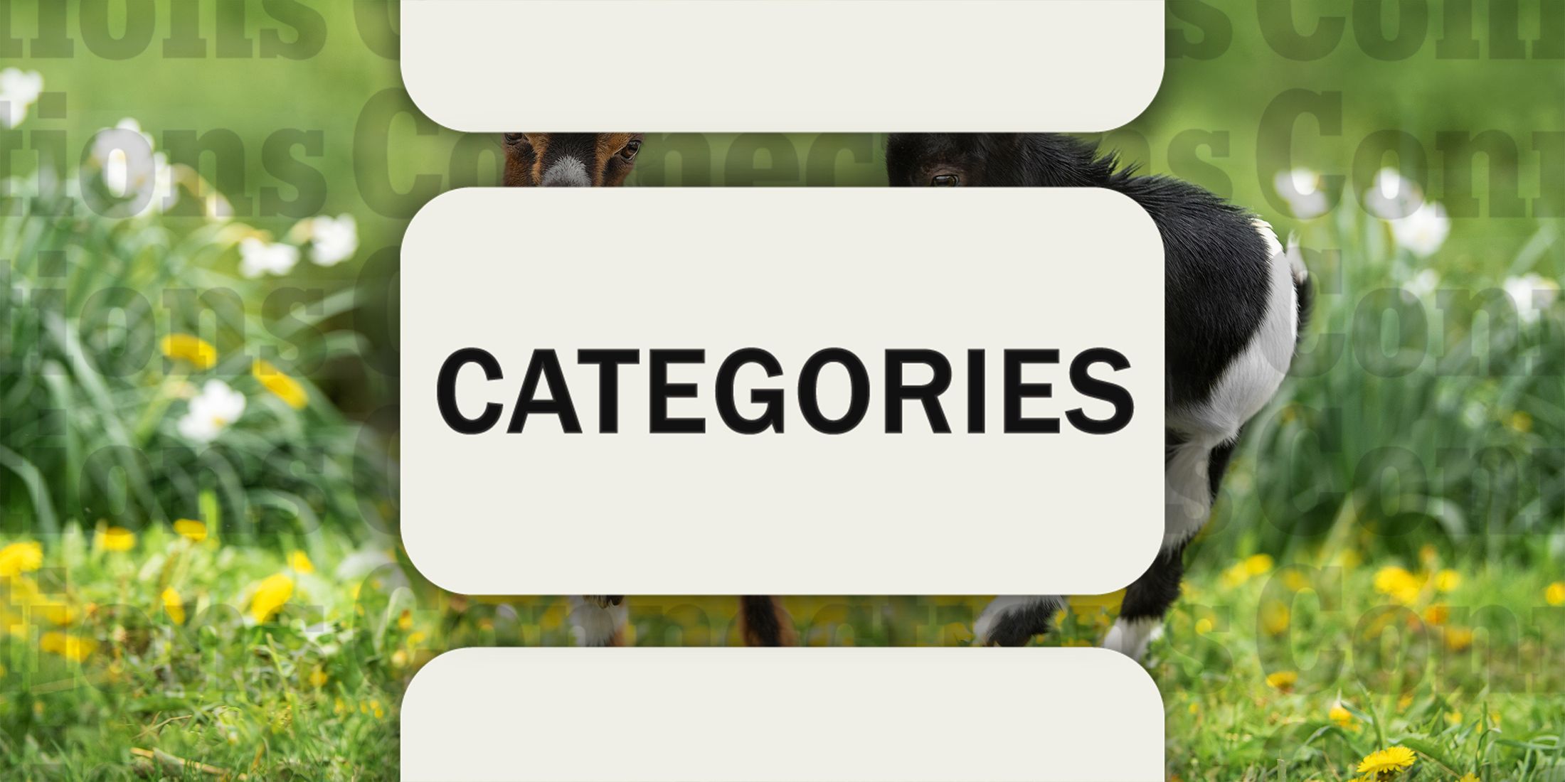 August 11 in Goat Relationship categories