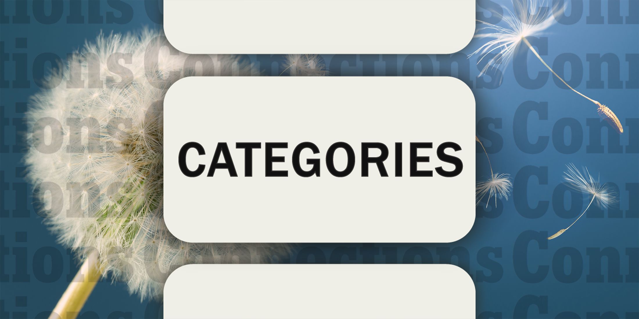 Dandelions in Connections Categories August 6