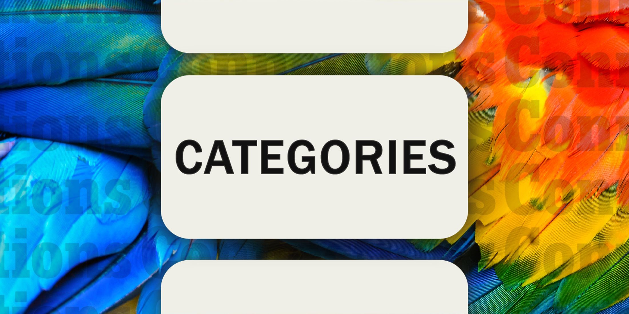 Parrot feathers in Connections Categories August 8