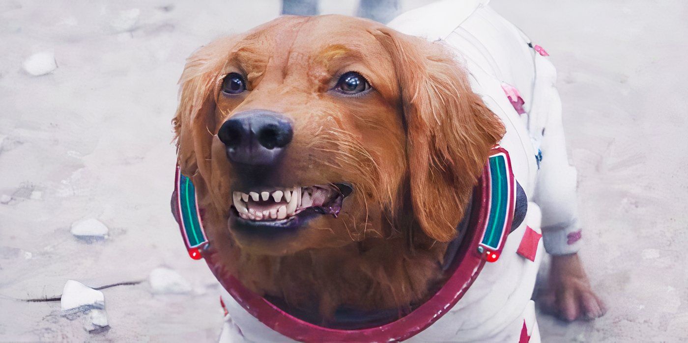 Every Pet Dog In The MCU, Ranked By How Willing We'd Be To Take A Bullet For Them