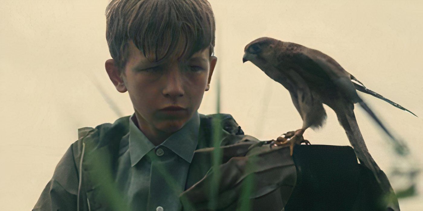 David Bradley as Billy, who holds a kestrel in his arms in the film Kes.