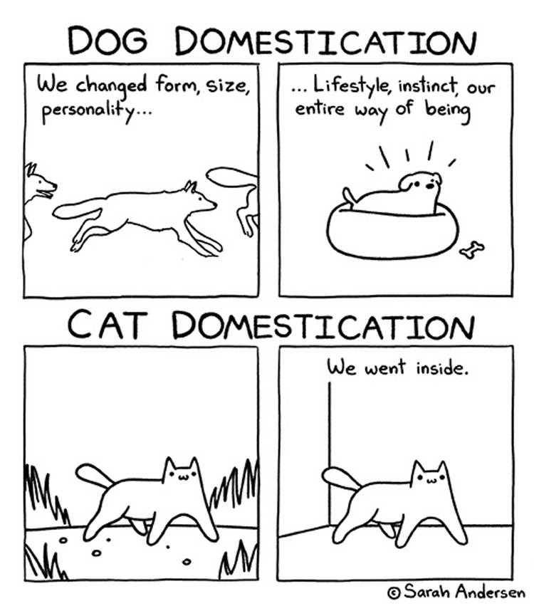 domestication.jpg?q=70&fit=crop&w=750&dpr=1