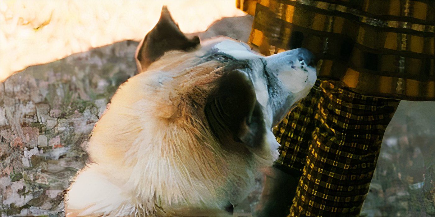 Every Pet Dog In The MCU, Ranked By How Willing We'd Be To Take A Bullet For Them