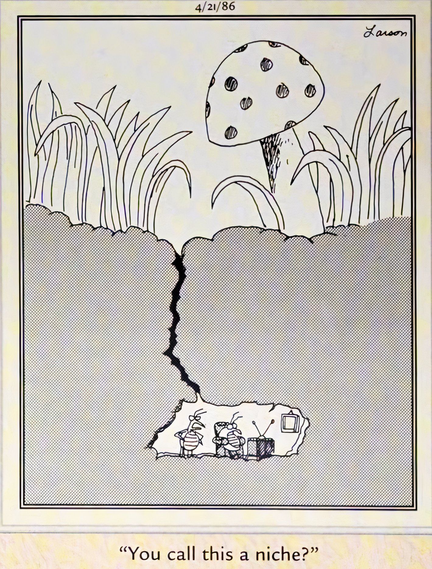 Far Side, April 21, 1986, insect yelling at another, 'you call this a niche'