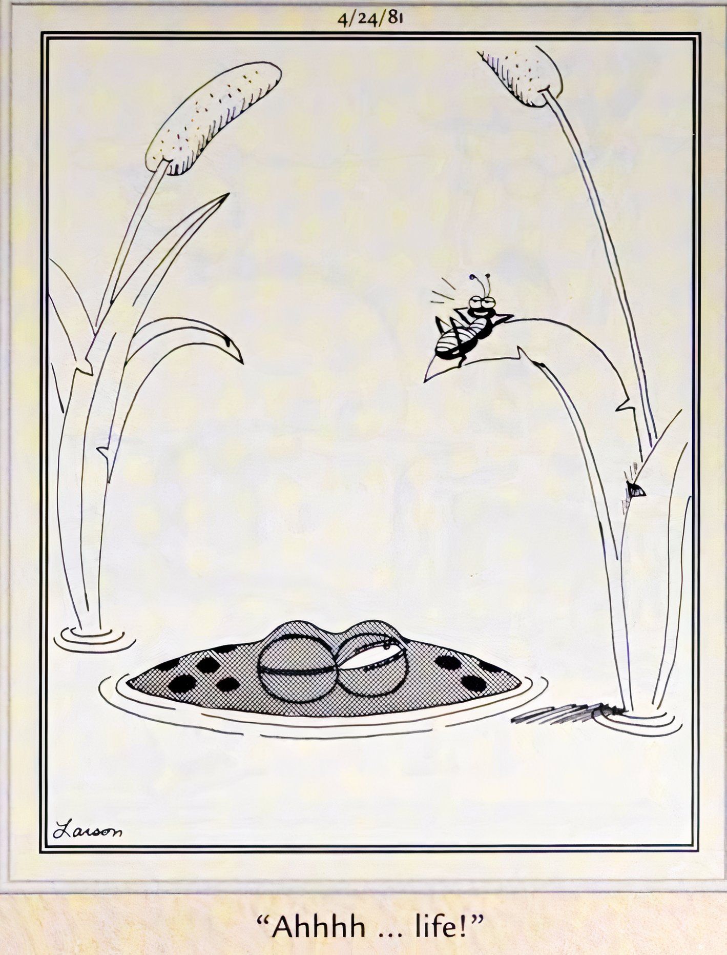 Far Side, 24 de abril de 1981, uma formiga relaxando, aproveitando a vida, enquanto um sapo a observa como sua próxima refeição