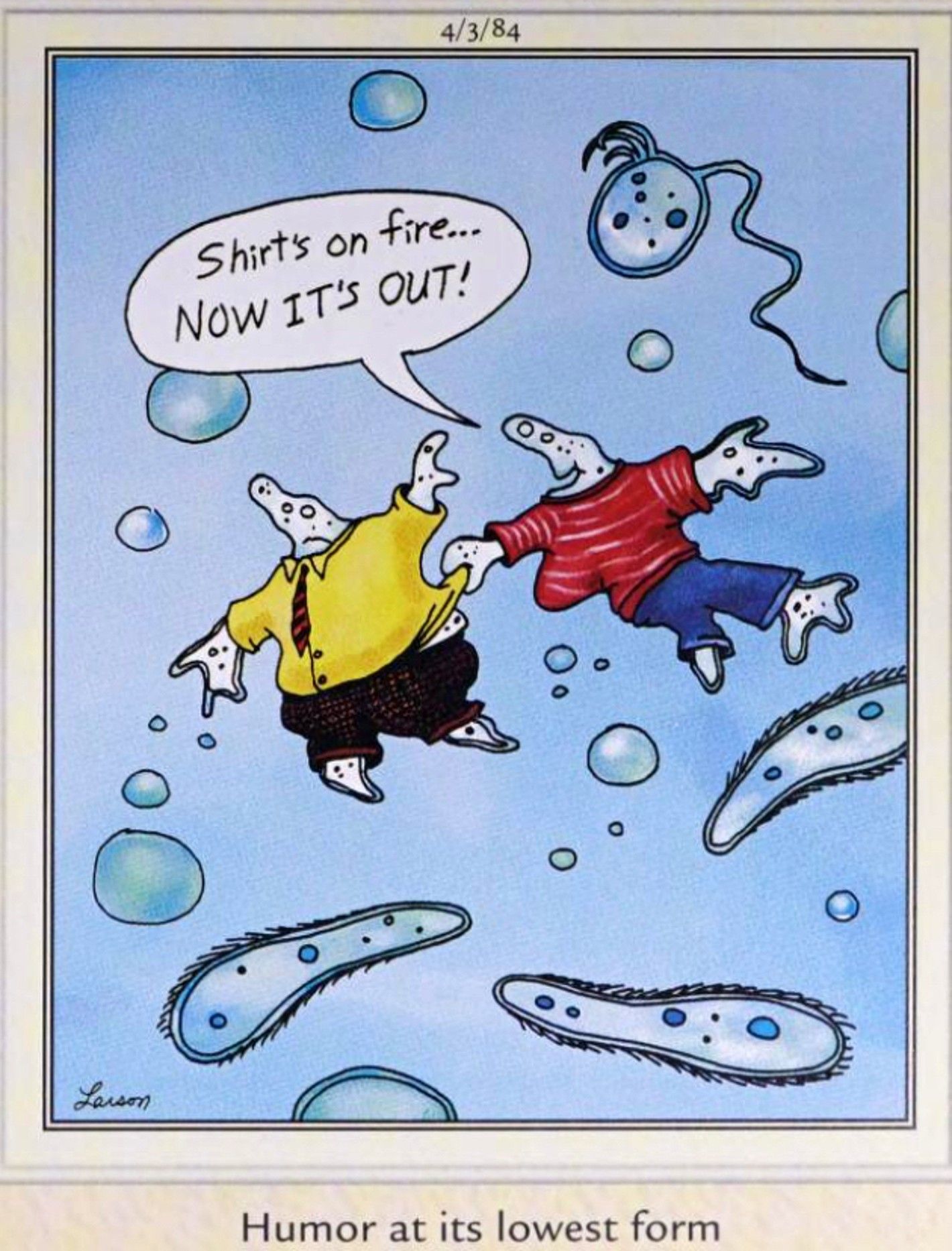 10 Amazing Far Side Comics About Amoebas