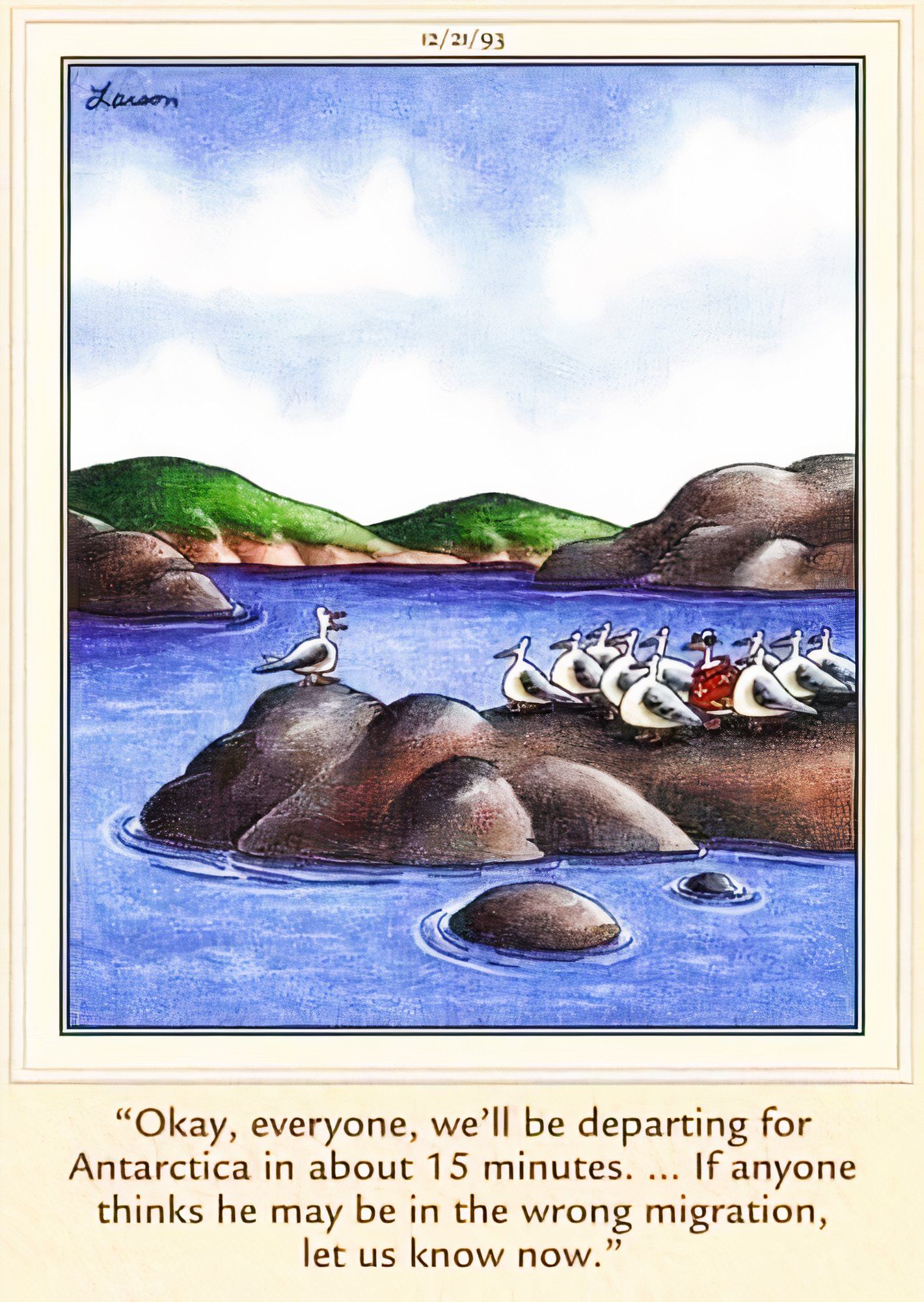 Far Side, a group of seagulls ready to leave for Antartica but one is dressed in a Hawaiian shirt.