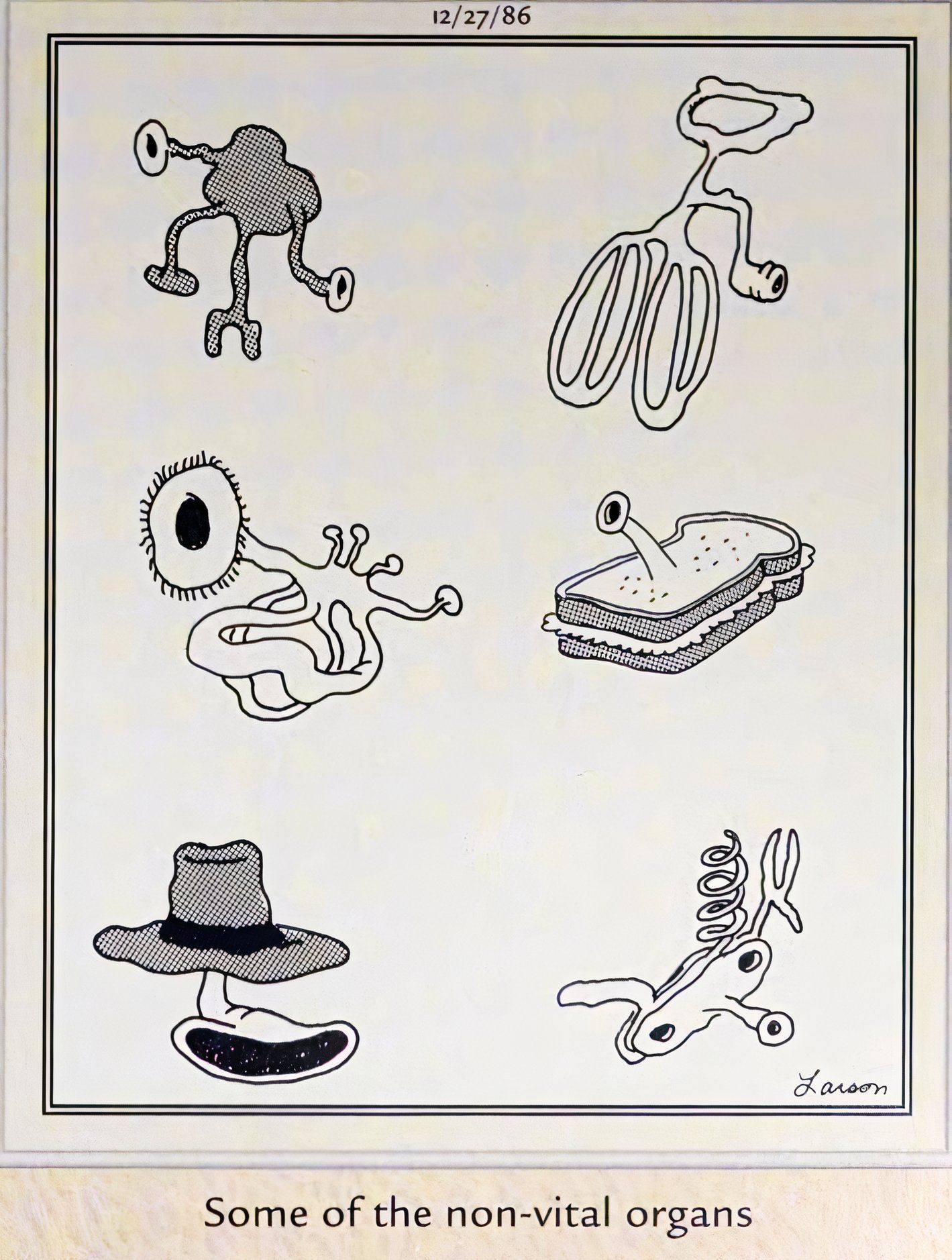 Far Side, December 27, 1986, depicting 'some of the non vital organs'