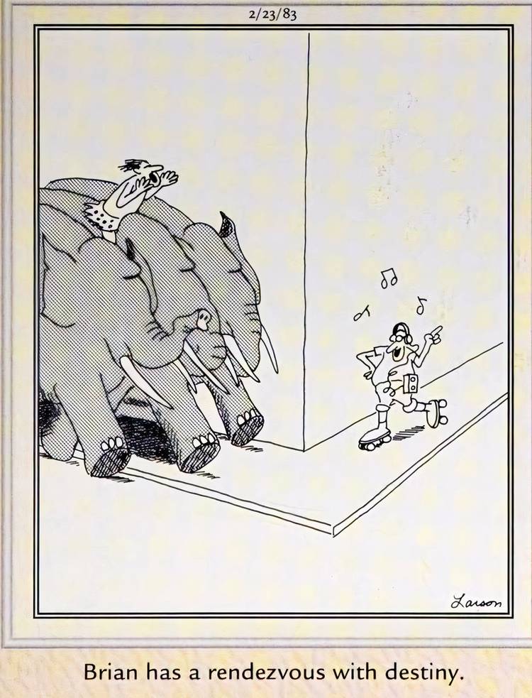 Far Side, February 23, 1983, Tarzan and a pack of elephants rush toward a crash with a rollerskater