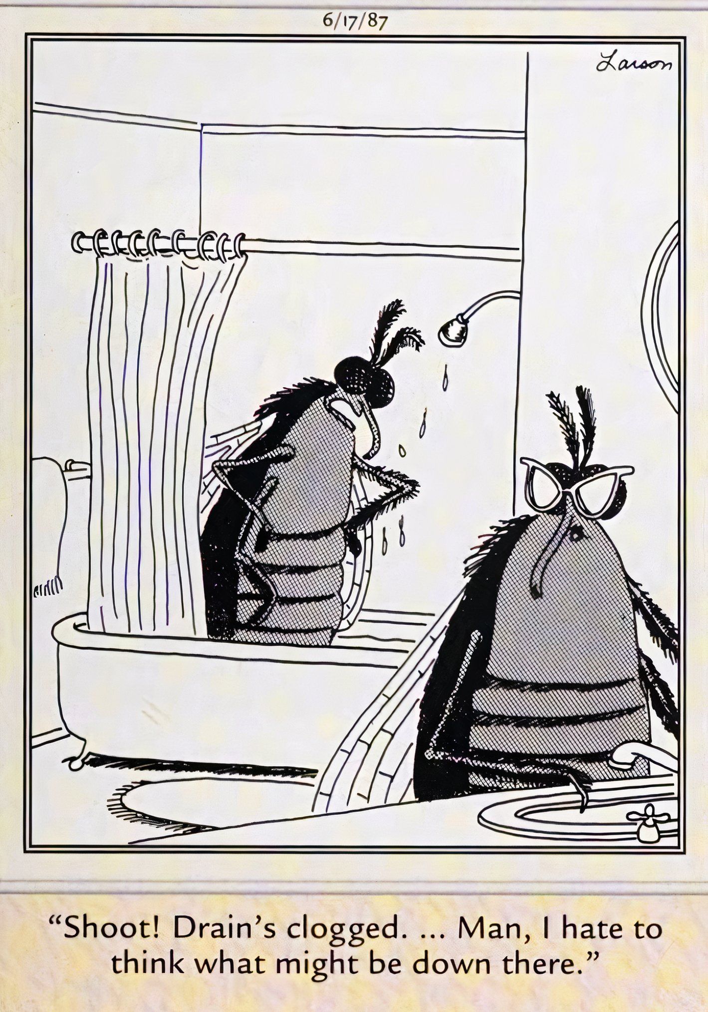 Far Side, June 17, 1987 Fly complains that the shower drain is clogged