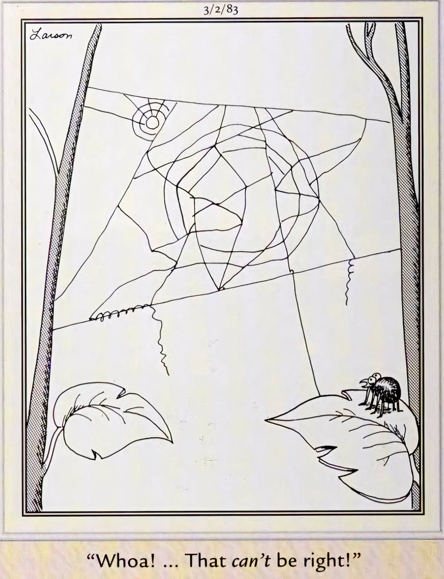 Far Side, March 2, 1983, a spider looks an an erratically woven web and says "whoa that can't be right"