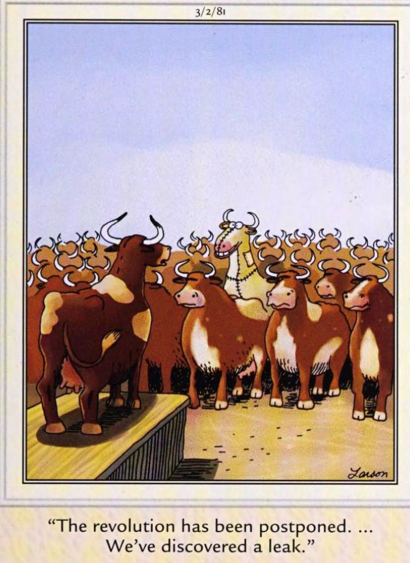 Far Side, 21 de março de 1981, vacas marrons adiam a revolução por causa de um espião entre elas